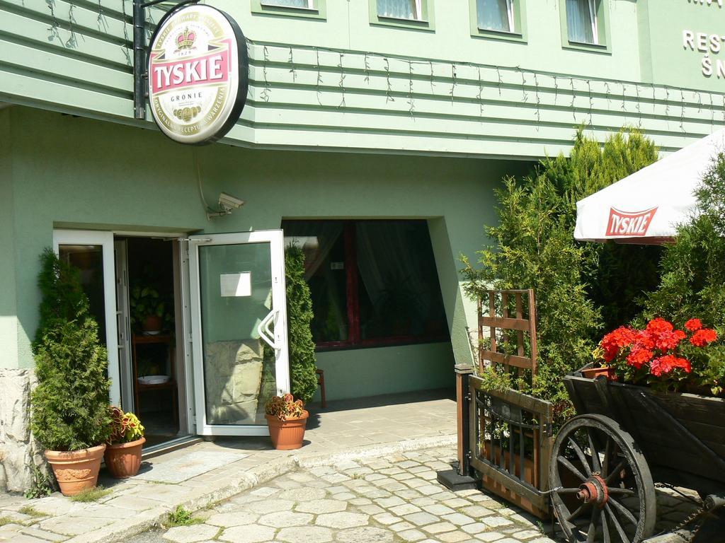 Hotel Snieznik Hotel